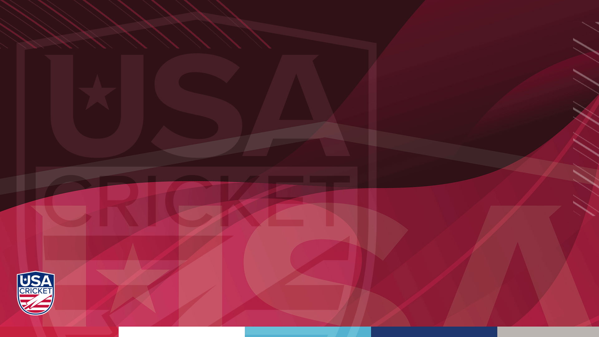 USA Cricket Elections: League and Club Information Needed