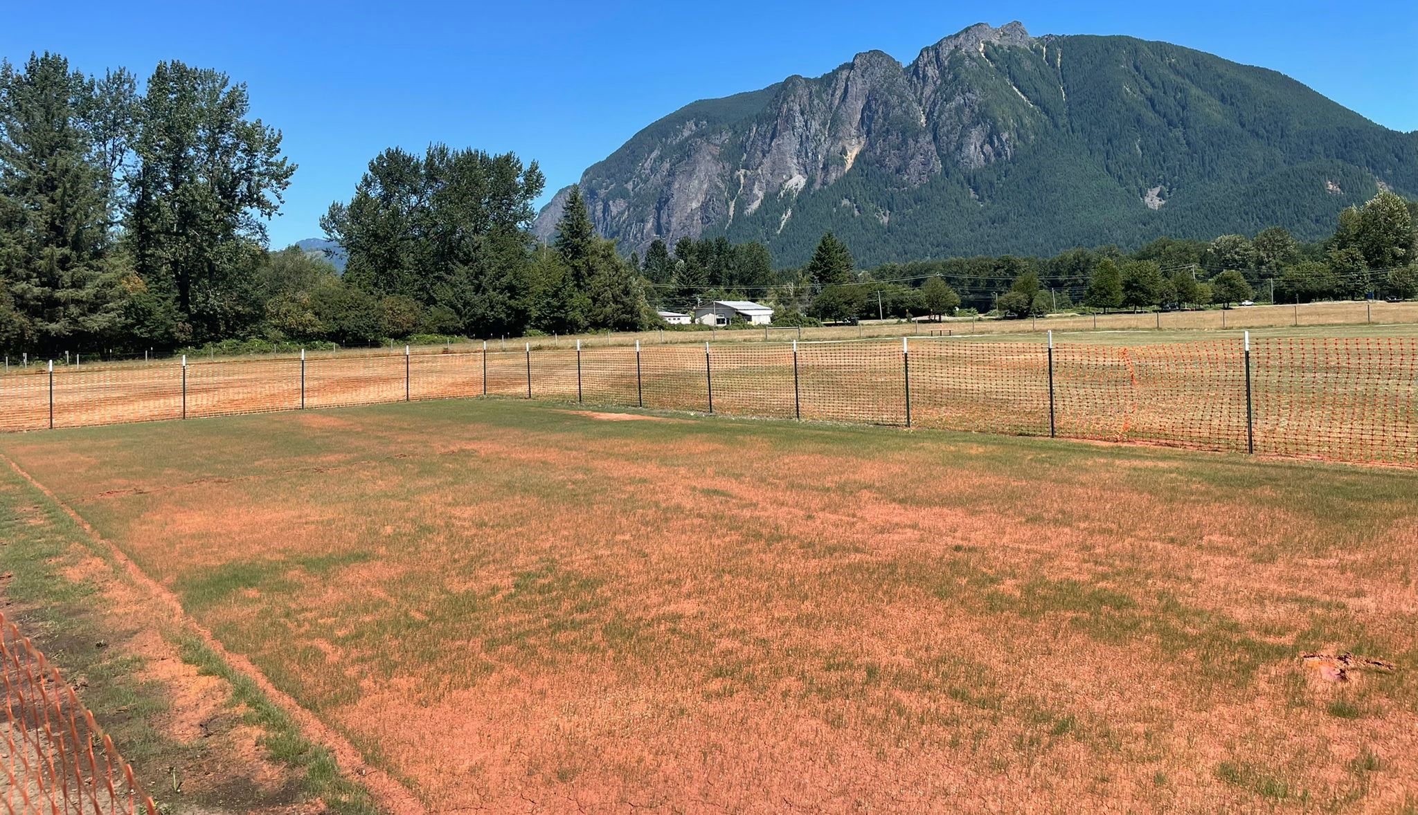 New Major League Cricket Center Established in Seattle